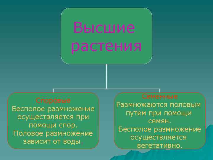 Высшие растения Споровые Бесполое размножение осуществляется при помощи спор. Половое размножение зависит от воды.