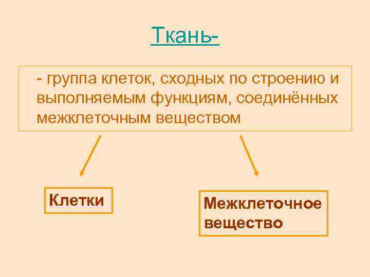 Ткань- - группа клеток, сходных по строению и выполняемым функциям, соединённых межклеточным веществом. Клетки