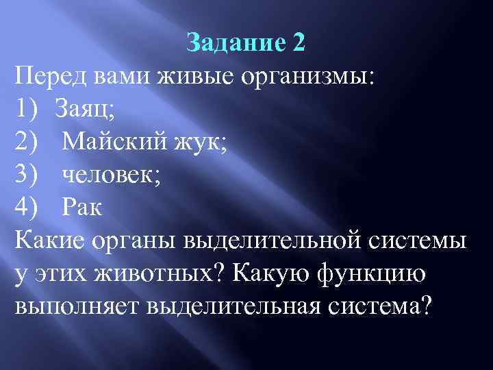 Задание 2 Перед вами живые организмы: 1) Заяц; 2) Майский жук; 3) человек; 4)