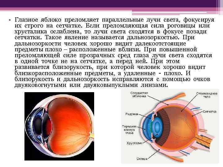 Оптическая структура глаза преломляющая солнечные лучи