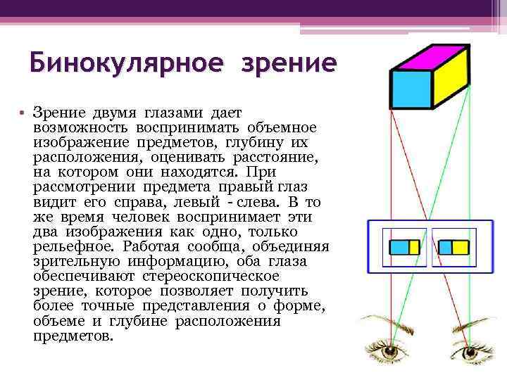 Характеристика органов чувств в свете учения об анализаторах общий план их строения