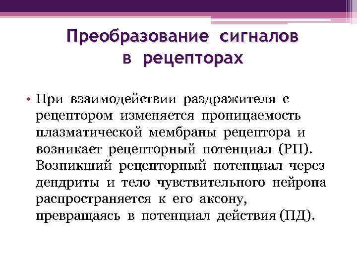 Преобразование сигналов в рецепторах • При взаимодействии раздражителя с рецептором изменяется проницаемость плазматической мембраны