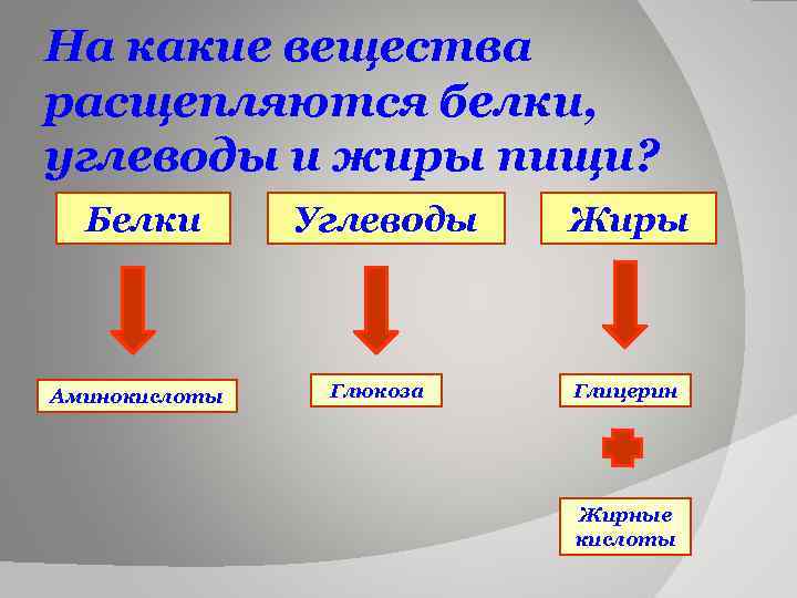 На какие вещества расщепляются белки, углеводы и жиры пищи? Белки Аминокислоты Углеводы Глюкоза Жиры