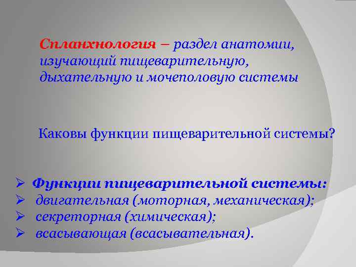 Спланхнология – раздел анатомии, изучающий пищеварительную, дыхательную и мочеполовую системы Каковы функции пищеварительной системы?