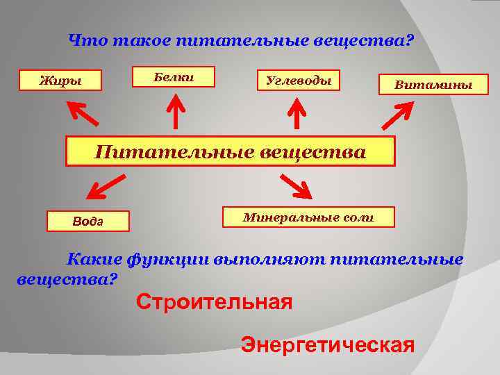 Что такое питательные вещества? Белки Жиры Углеводы Витамины Питательные вещества Вода Минеральные соли Какие