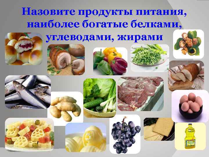 Назовите продукты питания, наиболее богатые белками, углеводами, жирами 