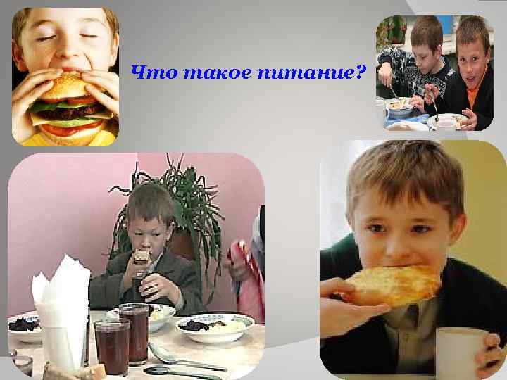 Что такое питание? 