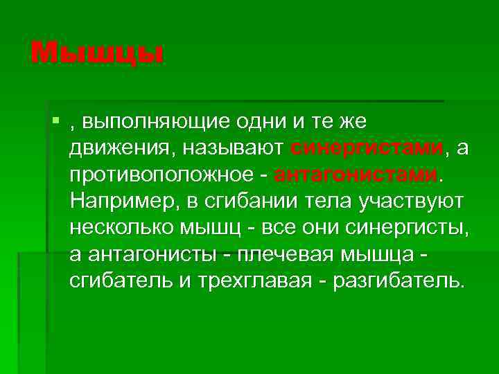 Мышцы § , выполняющие одни и те же движения, называют синергистами, а противоположное -