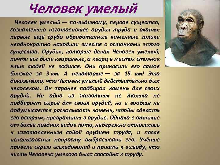 Человек умелый — по-видимому, первое существо, сознательно изготовившее орудия труда и охоты: первые ещё