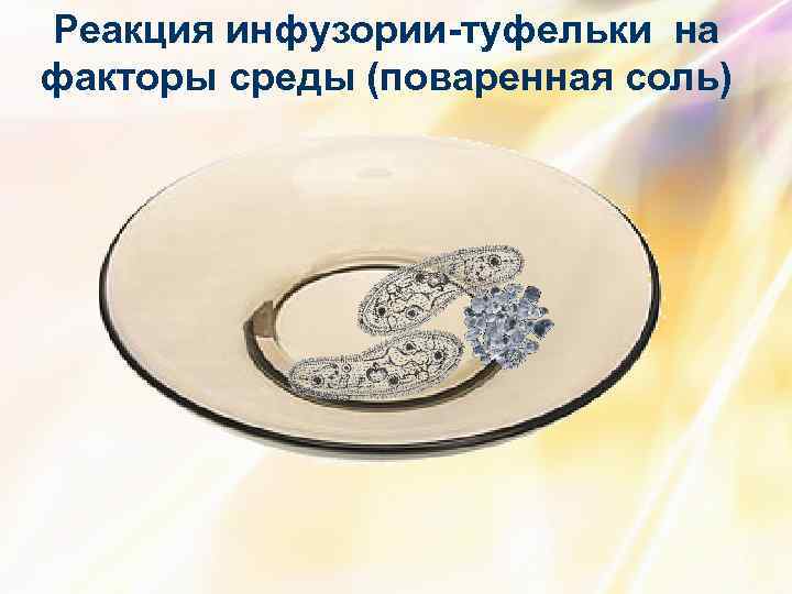 Реакция инфузории-туфельки на факторы среды (поваренная соль) 