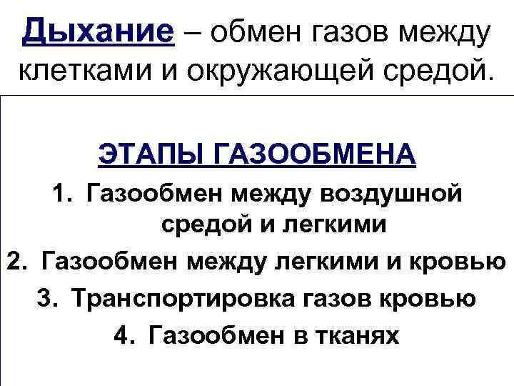 Дыхание – обмен газов между клетками и окружающей средой. ЭТАПЫ ГАЗООБМЕНА 1. Газообмен между