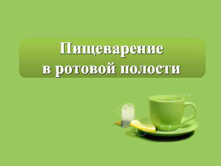 Пищеварение в ротовой полости 