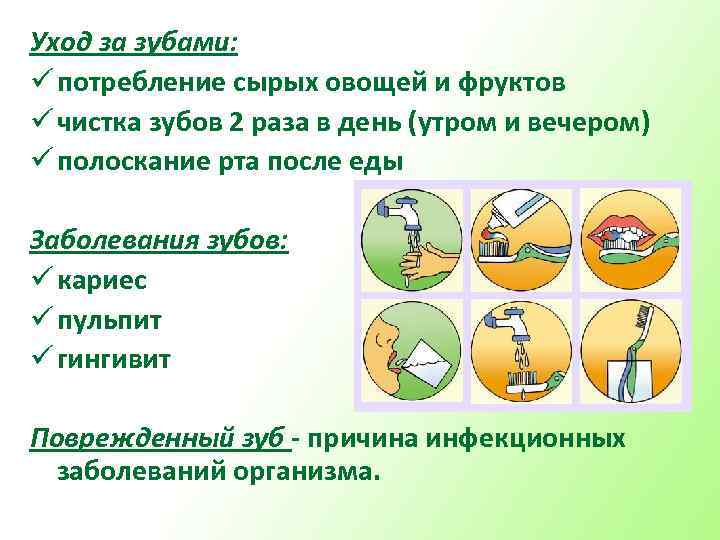 Уход за зубами: ü потребление сырых овощей и фруктов ü чистка зубов 2 раза