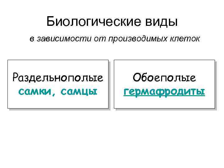 Биологические виды в зависимости от производимых клеток Раздельнополые самки, самцы Обоеполые гермафродиты 