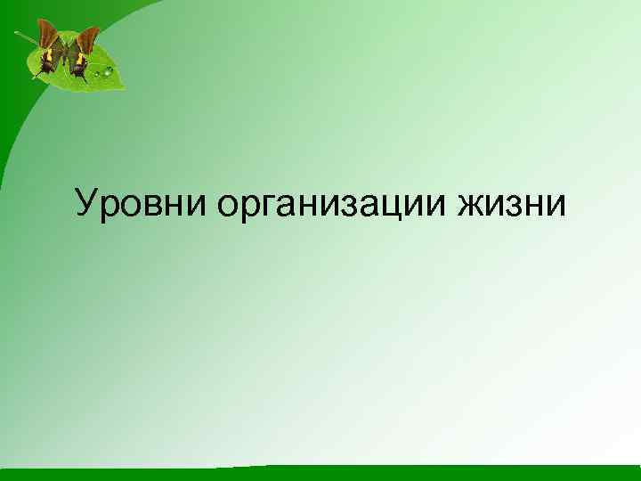 Уровни организации жизни 