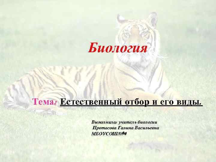 Биология Тема: Естественный отбор и его виды. Выполнила: учитель биологии Протасова Галина Васильевна МБОУСОШ№