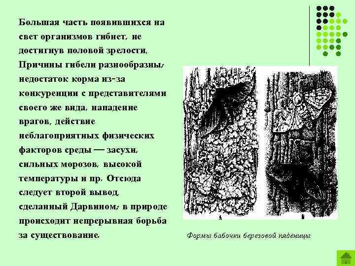Большая часть появившихся на свет организмов гибнет, не достигнув половой зрелости. Причины гибели разнообразны: