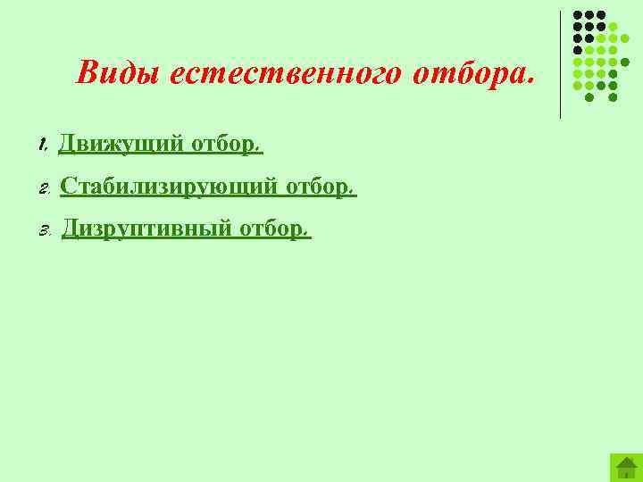Виды естественного отбора. 1. Движущий отбор. 2. Стабилизирующий отбор. 3. Дизруптивный отбор. 