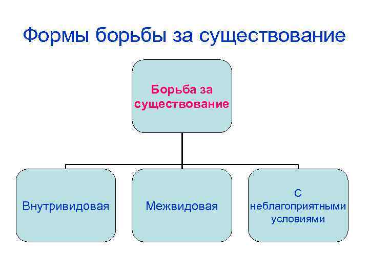 Формы борьбы за существование Борьба за существование Внутривидовая Межвидовая С неблагоприятными условиями 