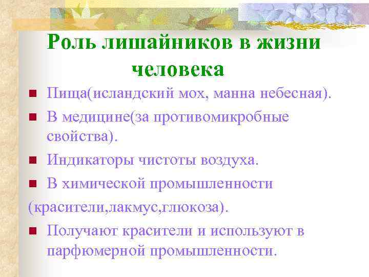 Роль лишайников в жизни человека Пища(исландский мох, манна небесная). n В медицине(за противомикробные свойства).