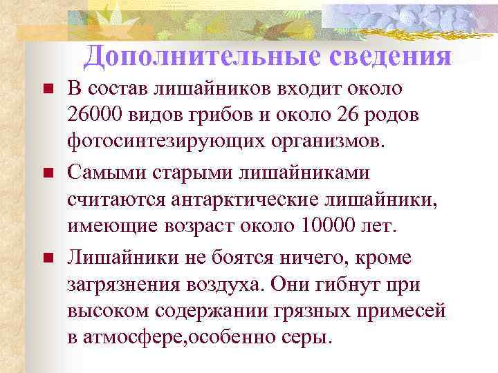 Дополнительные сведения n n n В состав лишайников входит около 26000 видов грибов и