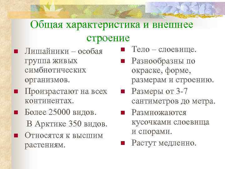 Общая характеристика и внешнее строение n n Лишайники – особая группа живых симбиотических организмов.