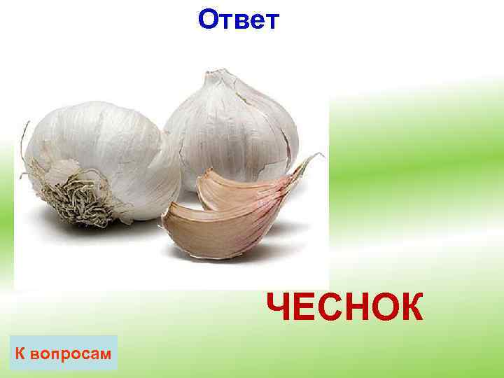 Ответ ЧЕСНОК К вопросам 