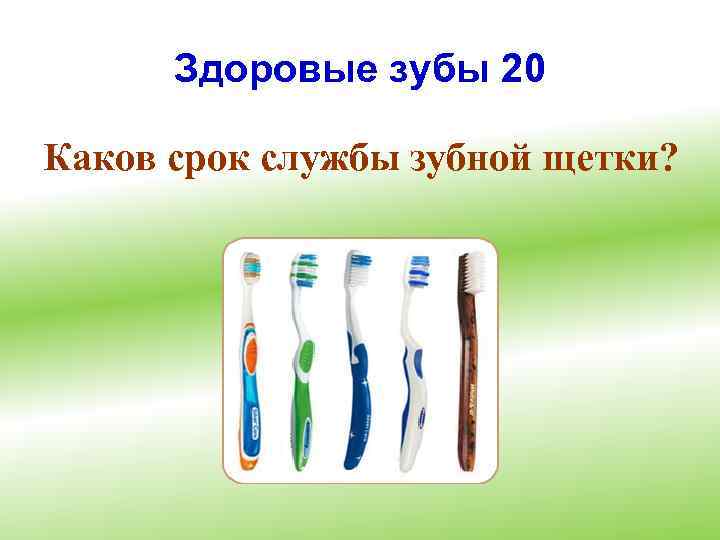 Здоровые зубы 20 Каков срок службы зубной щетки? 