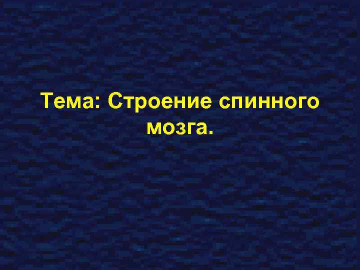 Тема: Строение спинного мозга. 