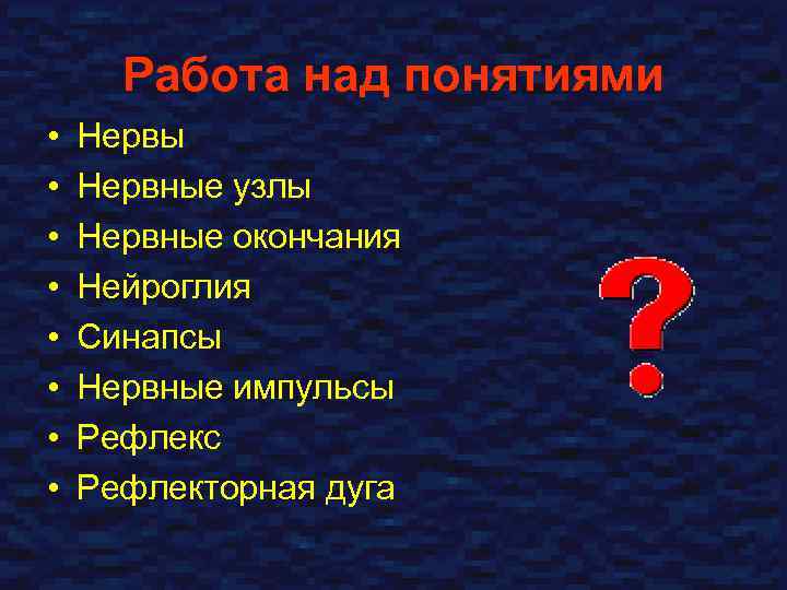 Работа над понятиями • • Нервы Нервные узлы Нервные окончания Нейроглия Синапсы Нервные импульсы