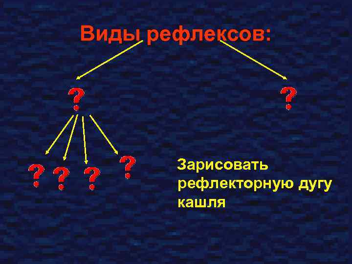 Виды рефлексов: Зарисовать рефлекторную дугу кашля 