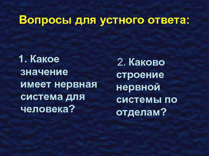 Вопросы для устного ответа: 1. Какое значение имеет нервная система для человека? 2. Каково