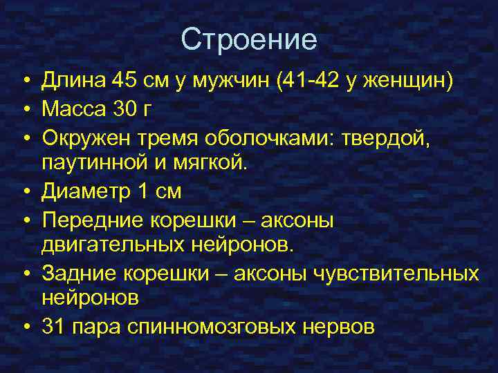 Строение • Длина 45 см у мужчин (41 -42 у женщин) • Масса 30