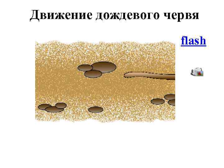 Движение дождевого червя flash 