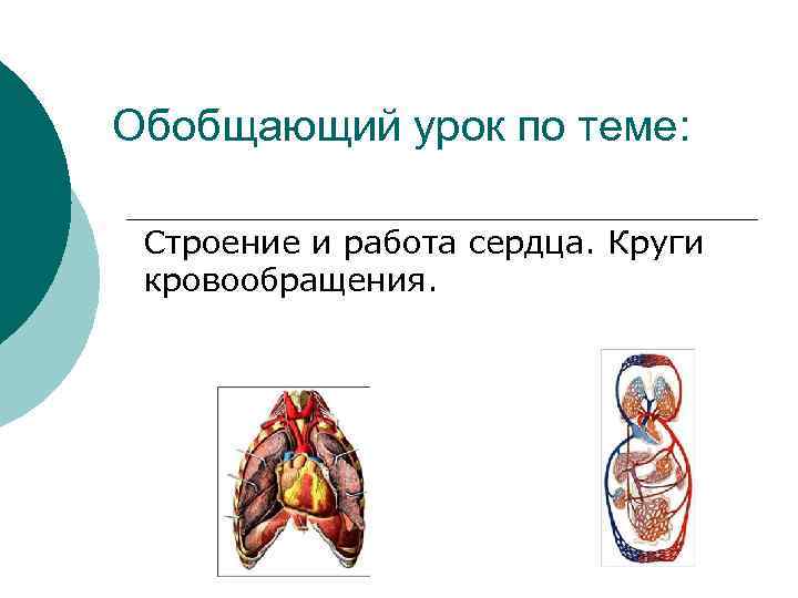 Обобщающий урок по теме: Строение и работа сердца. Круги кровообращения. 