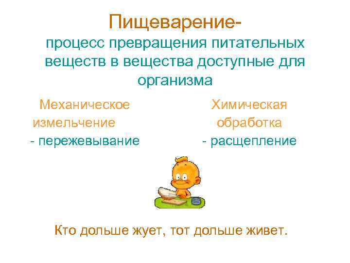 Пищеварениепроцесс превращения питательных веществ в вещества доступные для организма Механическое измельчение - пережевывание Химическая