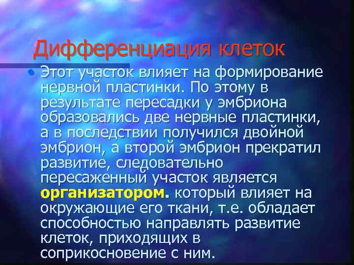 Дифференциация клеток • Этот участок влияет на формирование нервной пластинки. По этому в результате