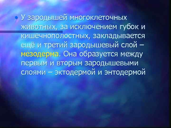  • У зародышей многоклеточных животных, за исключением губок и кишечнополостных, закладывается ещё и