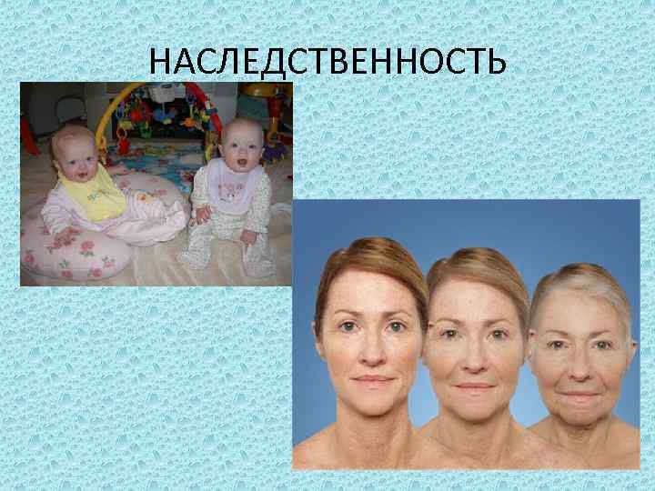 НАСЛЕДСТВЕННОСТЬ 