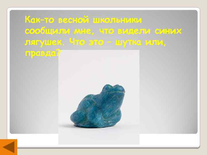 Как–то весной школьники сообщили мне, что видели синих лягушек. Что это – шутка или,