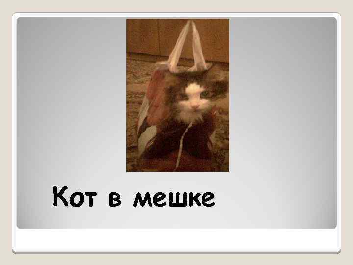 Кот в мешке 