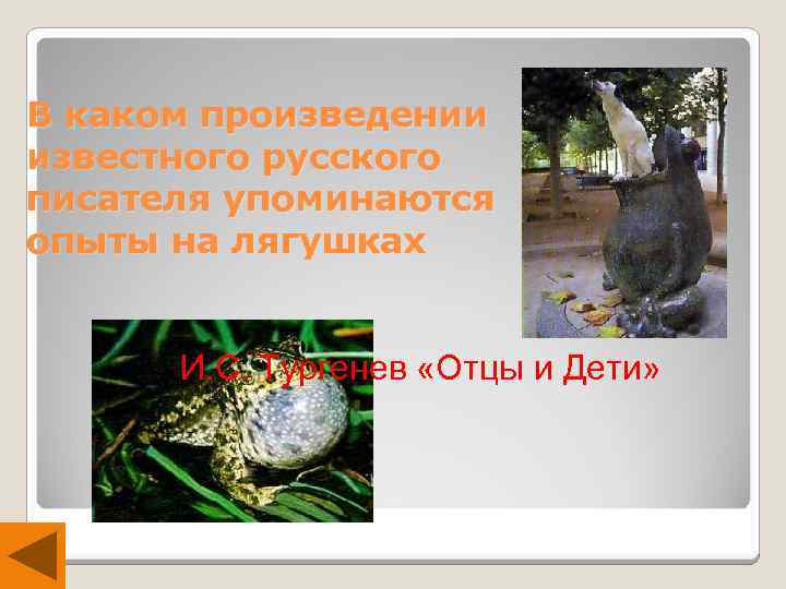 В каком произведении известного русского писателя упоминаются опыты на лягушках И. С. Тургенев «Отцы