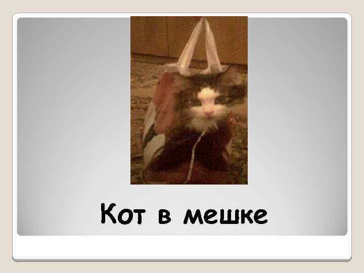 Кот в мешке 