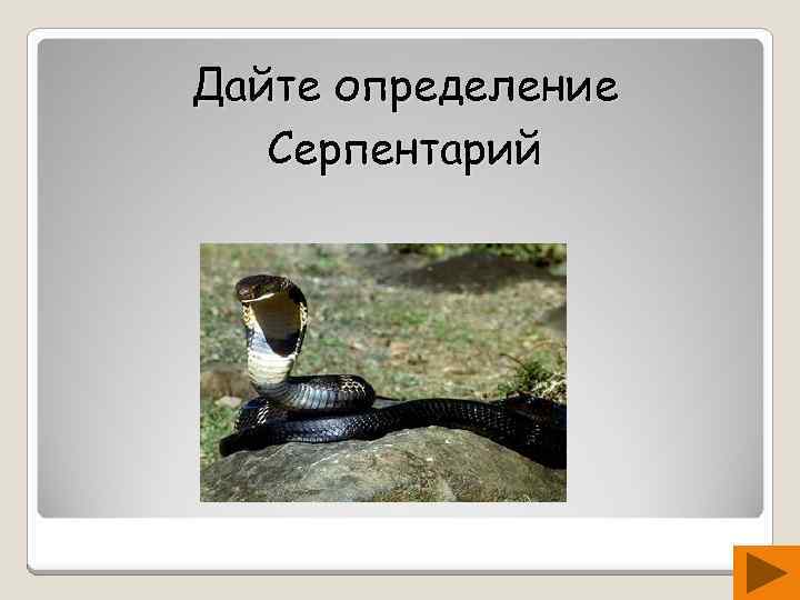 Дайте определение Серпентарий 