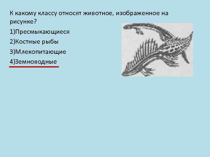 К какому классу относят животное, изображенное на рисунке? 1)Пресмыкающиеся 2)Костные рыбы 3)Млекопитающие 4)Земноводные 