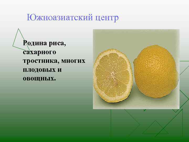 Южноазиатский центр Родина риса, сахарного тростника, многих плодовых и овощных. 