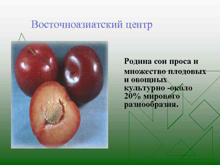 Восточноазиатский центр Родина сои проса и множество плодовых и овощных культурно -около 20% мирового