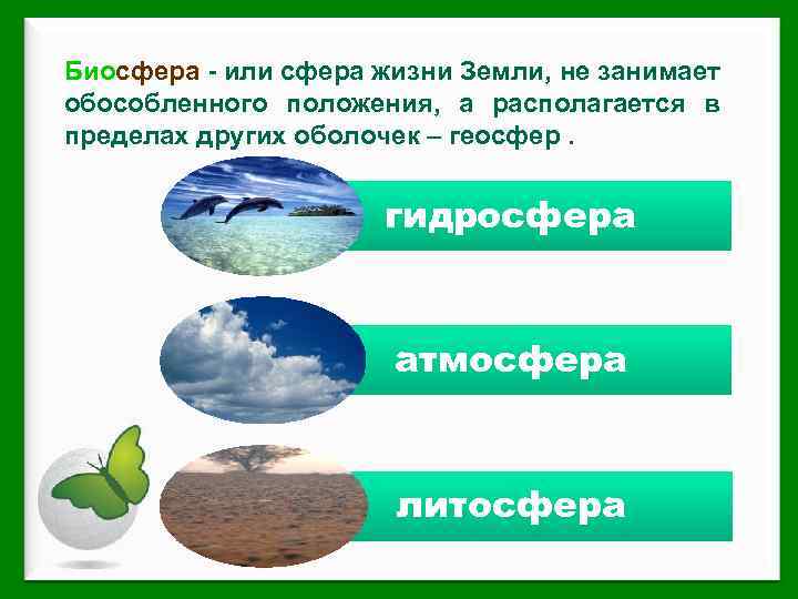 Биосфера - или сфера жизни Земли, не занимает обособленного положения, а располагается в пределах