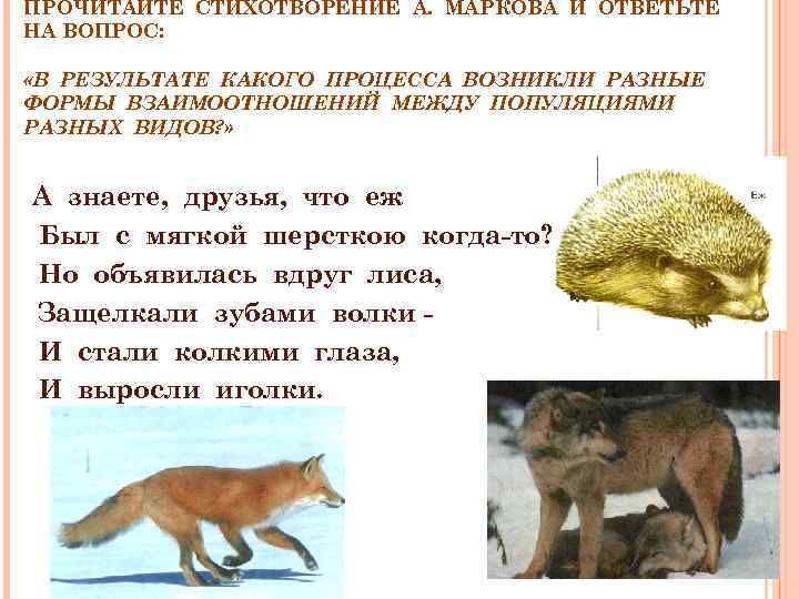 ПРОЧИТАЙТЕ СТИХОТВОРЕНИЕ А. МАРКОВА И ОТВЕТЬТЕ НА ВОПРОС: «В РЕЗУЛЬТАТЕ КАКОГО ПРОЦЕССА ВОЗНИКЛИ РАЗНЫЕ