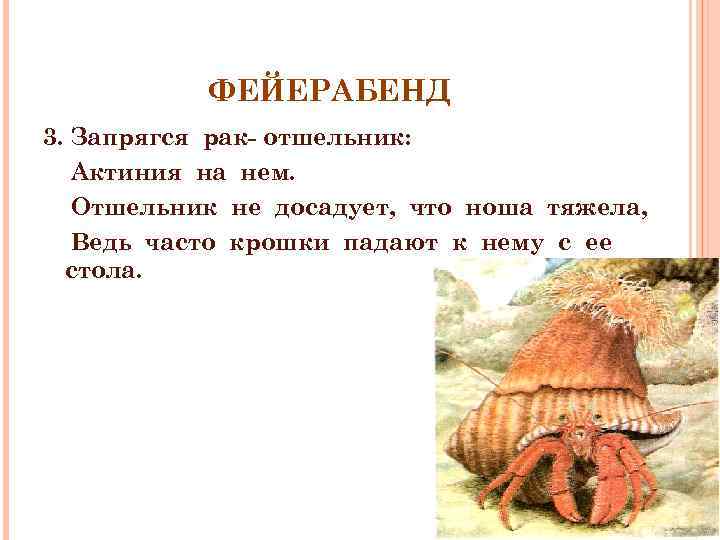 ФЕЙЕРАБЕНД 3. Запрягся рак- отшельник: Актиния на нем. Отшельник не досадует, что ноша тяжела,